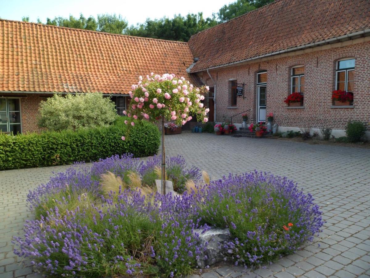 Gîte de la Noyelle à Sainghin en Mélantois Exterior foto